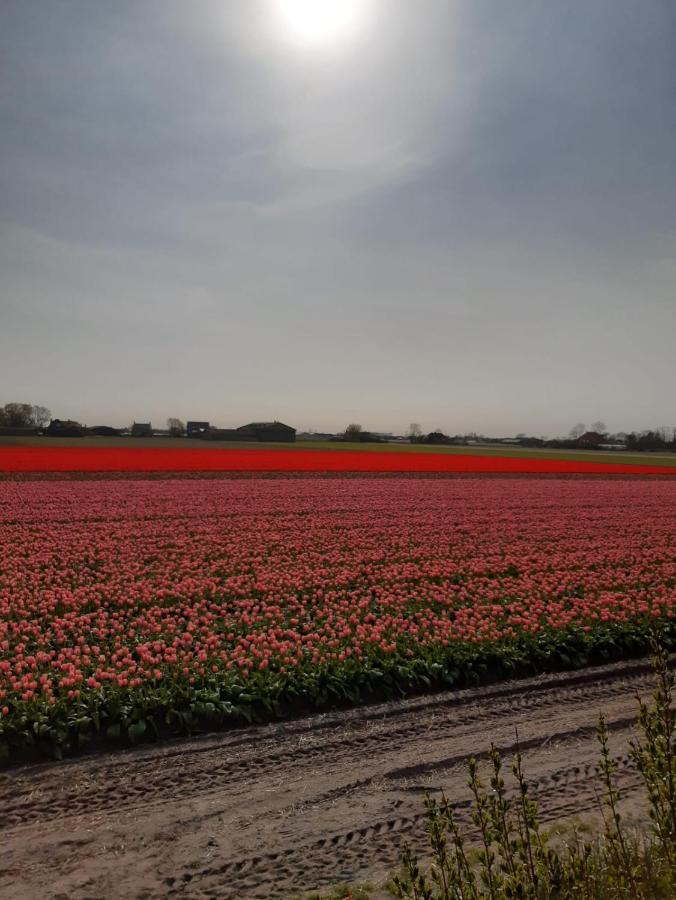 Breezand Groot Familiehuis Voor 6 Personen In Landelijke, Rustige Omgevingヴィラ エクステリア 写真