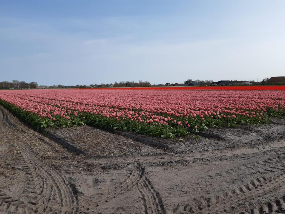 Breezand Groot Familiehuis Voor 6 Personen In Landelijke, Rustige Omgevingヴィラ エクステリア 写真