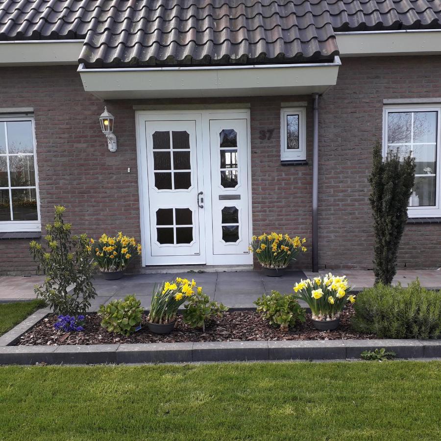 Breezand Groot Familiehuis Voor 6 Personen In Landelijke, Rustige Omgevingヴィラ エクステリア 写真