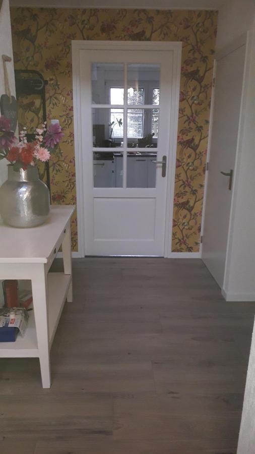 Breezand Groot Familiehuis Voor 6 Personen In Landelijke, Rustige Omgevingヴィラ エクステリア 写真