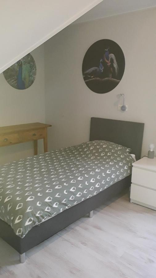 Breezand Groot Familiehuis Voor 6 Personen In Landelijke, Rustige Omgevingヴィラ エクステリア 写真